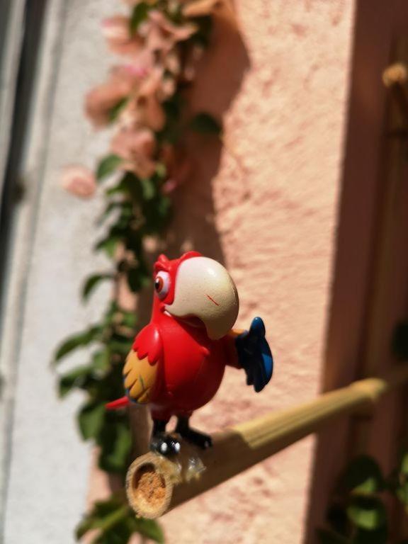 Lavacolhos Casa Titaヴィラ エクステリア 写真